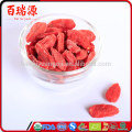 Goji unterwegs, wo Goji Beeren aus der Googi Beere sind